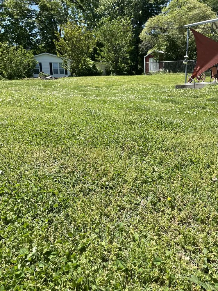 Professional yard maintenance in Cookeville, TN by T&B Lawn Care