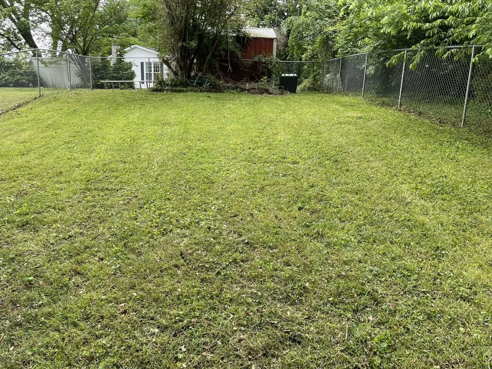 Top-rated residential landscaping near you in Cookeville, TN by T&B Lawn Care