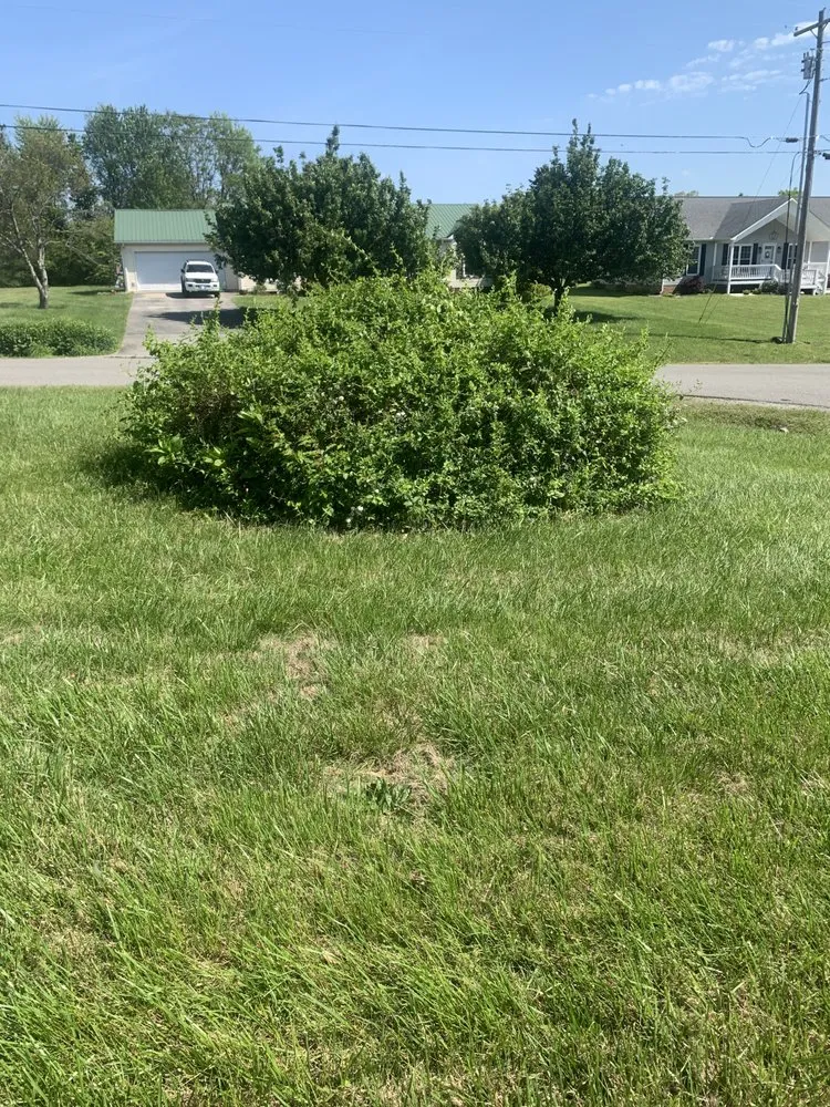 Top-rated yard maintenance in Cookeville, TN by T&B Lawn Care