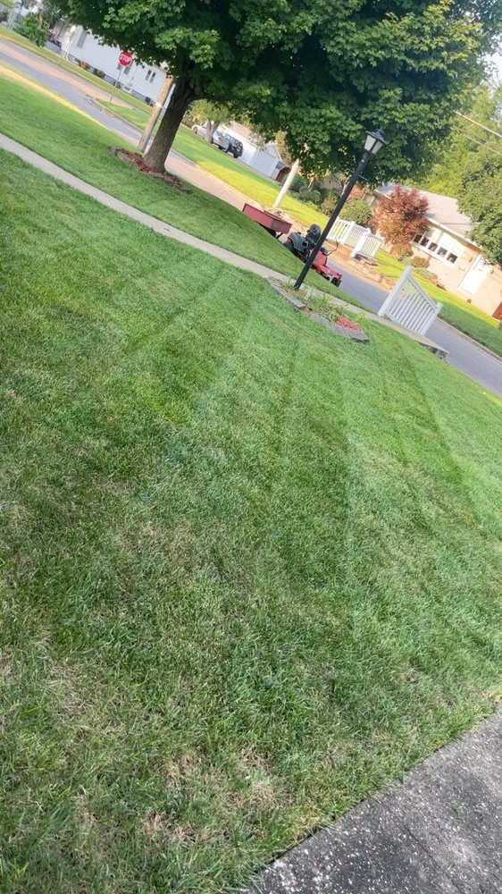 Top-rated yard maintenance experts serving Havana, IL - TB Lawn Care