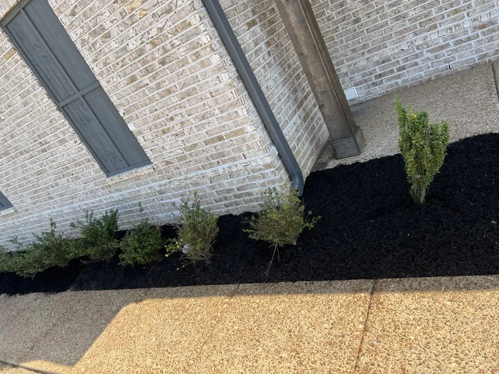 Top-rated landscape design in Hernando, MS by T&B Lawn Care