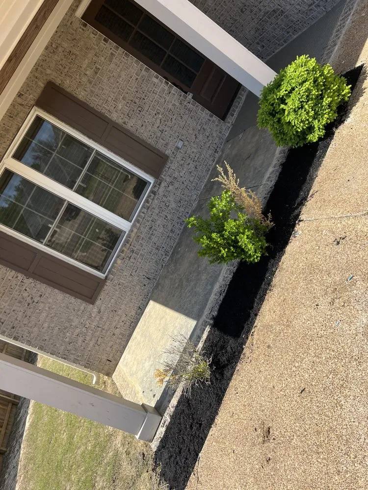 Custom lawn mowing service in Hernando, MS - T&B Lawn Care