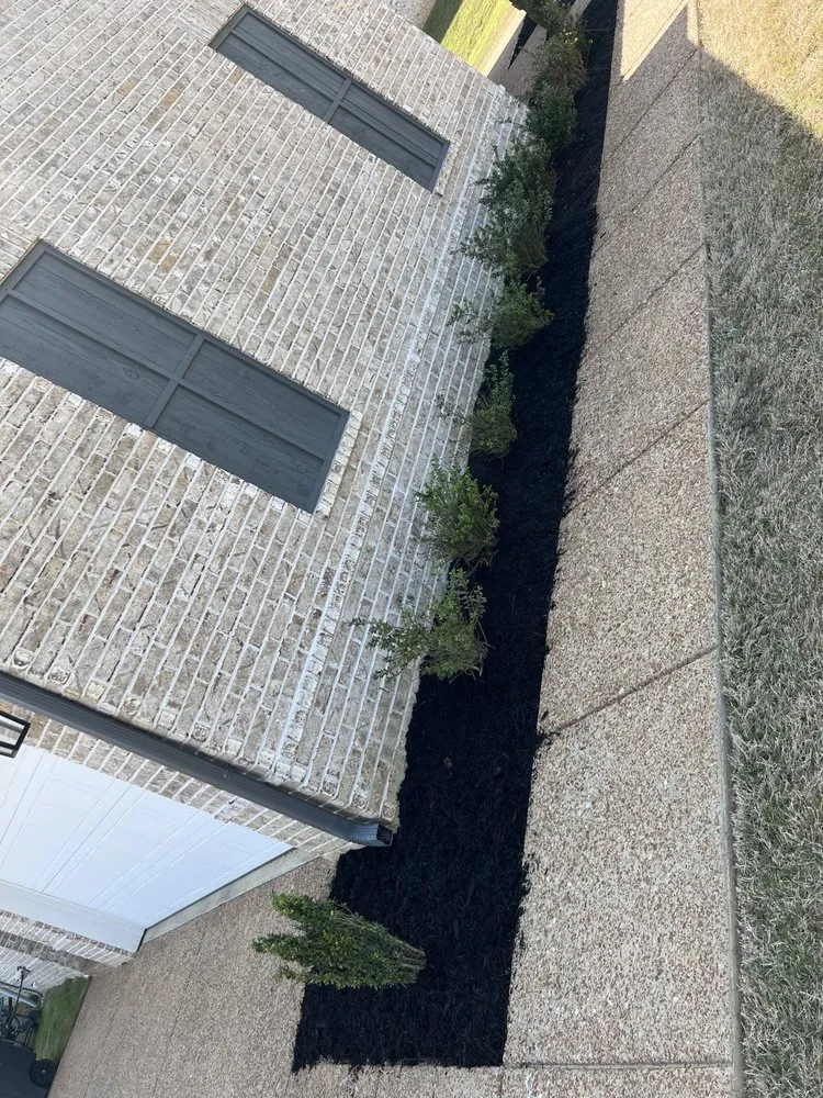 Local yard cleanup service experts serving Hernando, MS - T&B Lawn Care