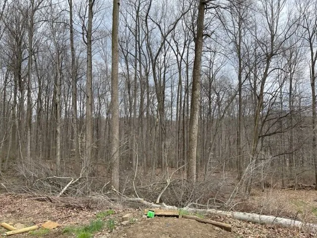 Trusted lawn mowing service with custom design in Rising Sun, MD by T&B Lawn Care