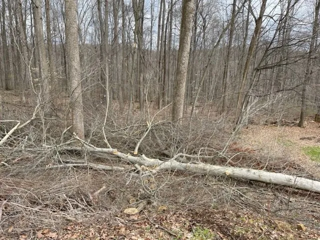 Local landscape installation near you across Rising Sun, MD - T&B Lawn Care