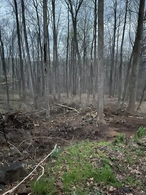 Professional landscape design in Rising Sun, MD - T&B Lawn Care