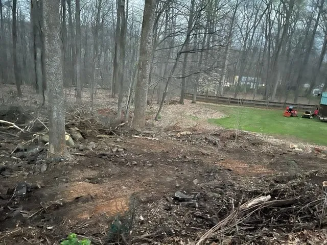 Top-rated lawn mowing service near you in Rising Sun, MD by T&B Lawn Care