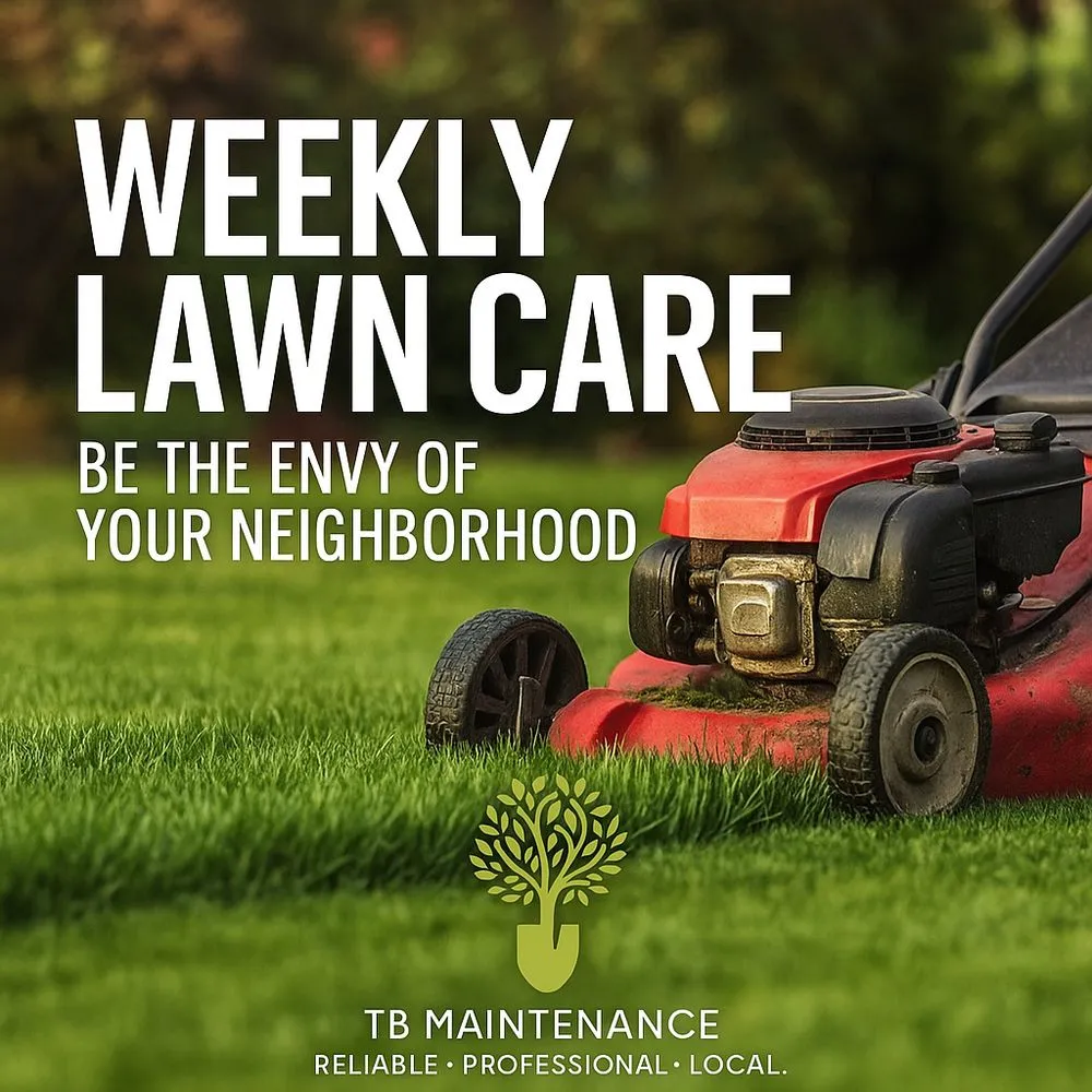 Reliable yard maintenance for beautiful yards across Mansfield, TX - TB Maintenance Service