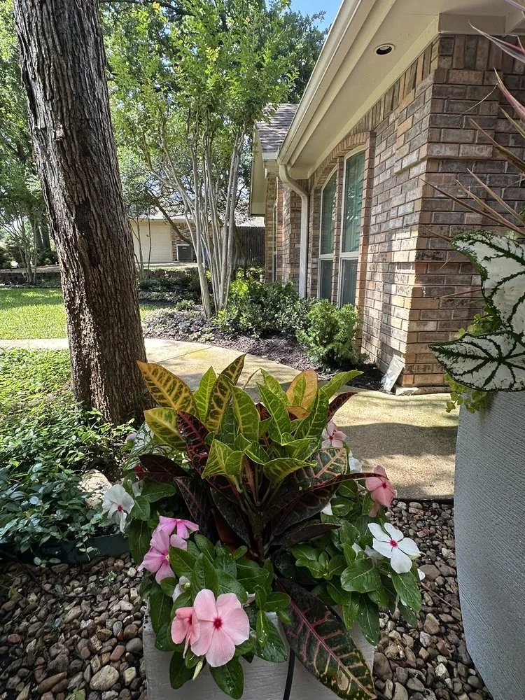 Expert garden landscaping for year-round maintenance in Mansfield, TX by TB Maintenance Service