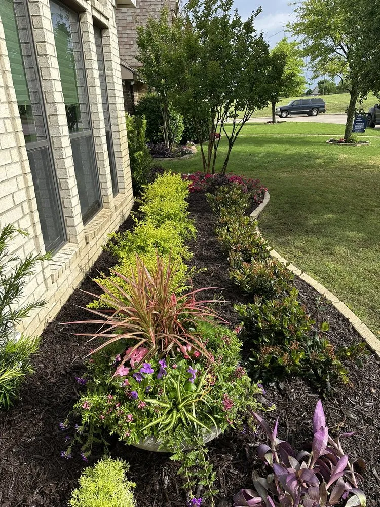 Custom lawn care service in Mansfield, TX - TB Maintenance Service