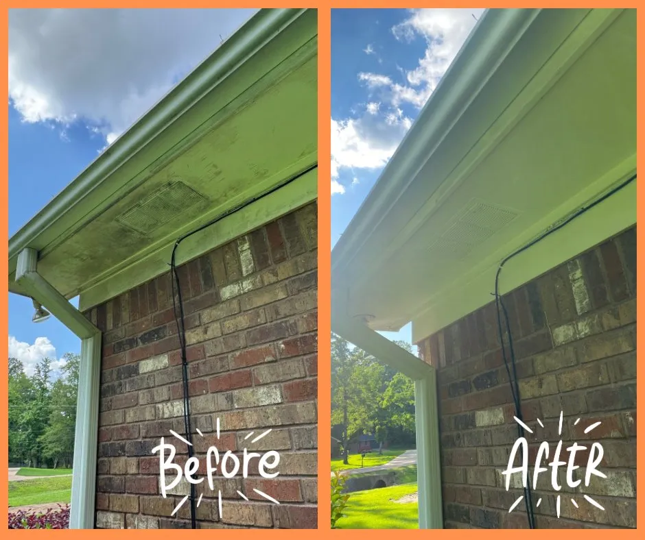 Affordable landscape design for outdoor upgrades in Pearl, MS by T&B Outdoor