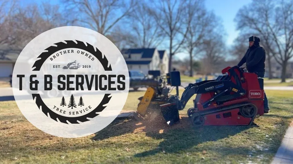 Affordable residential landscaping with custom design in Bonner Springs, KS by T&B Services