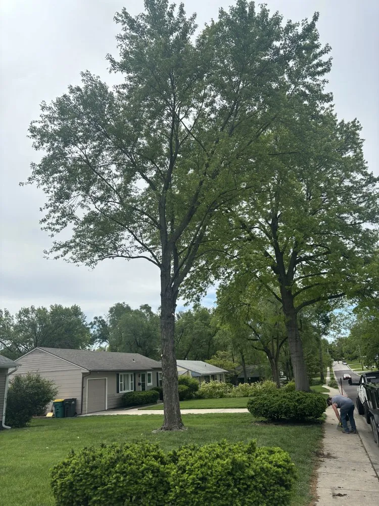 Trusted landscape installation for year-round maintenance across Bonner Springs, KS - T&B Services