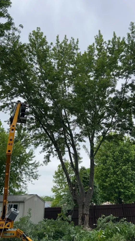 Professional residential landscaping in Bonner Springs, KS by T&B Services