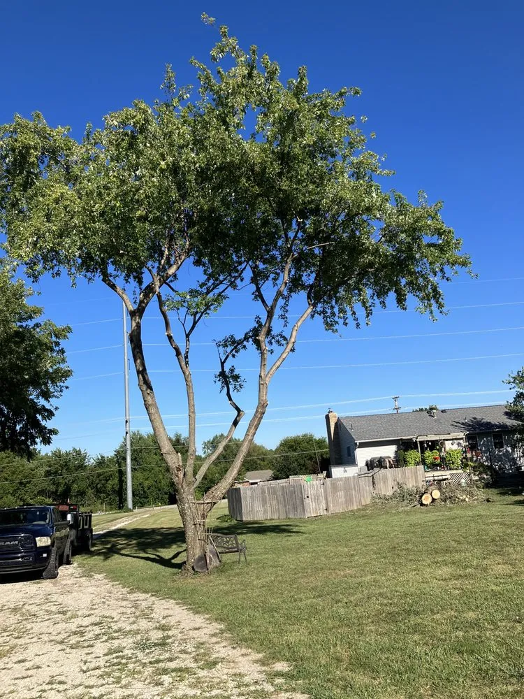 Custom garden landscaping for outdoor upgrades across Bonner Springs, KS - T&B Services