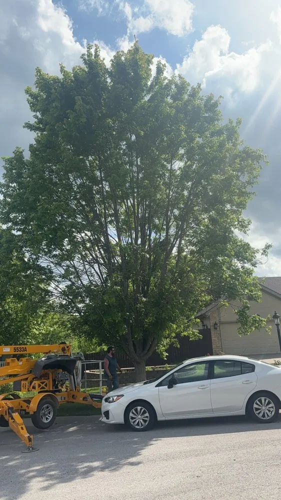 Professional yard maintenance in Bonner Springs, KS - T&B Services