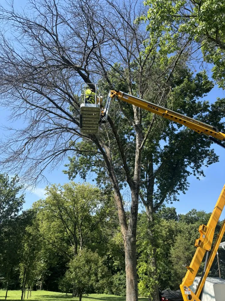 Local yard maintenance for beautiful yards across Bonner Springs, KS - T&B Services