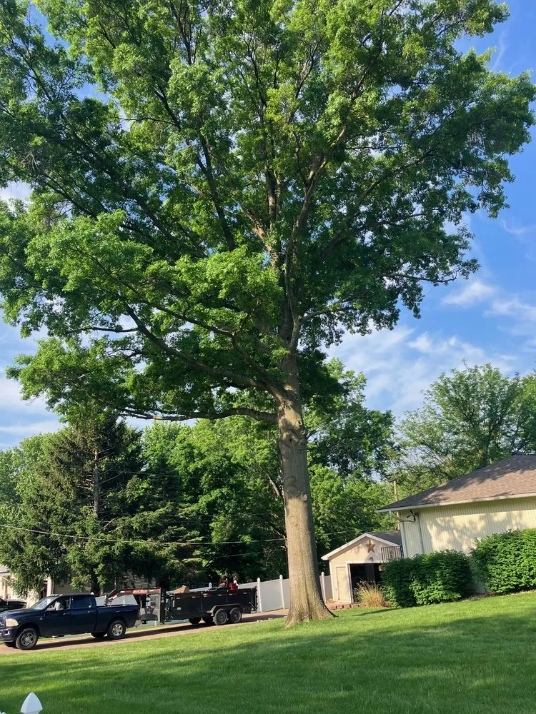 Affordable yard maintenance for homes across Bonner Springs, KS - T&B Services