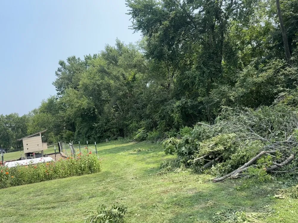 Expert yard cleanup service experts serving Bonner Springs, KS - T&B Services