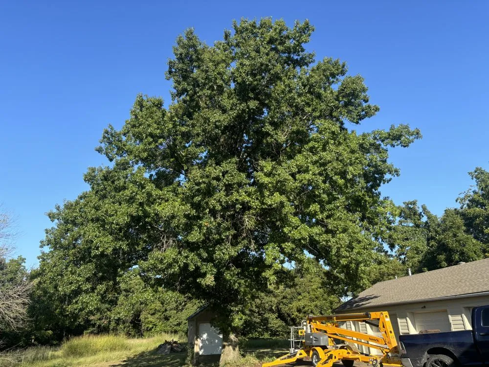 Top-rated landscape design experts serving Bonner Springs, KS - T&B Services