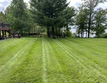 Affordable yard cleanup service near you across St. Cloud, MN - Tbaum Lawn Care