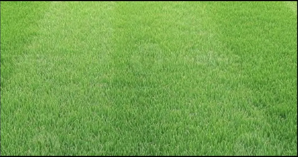 Top-rated landscape design for outdoor upgrades in Maybrook, NY by TBE Landscaping