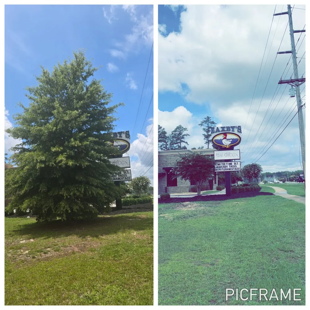 Affordable lawn care service in Bunnlevel, NC by TBE Services