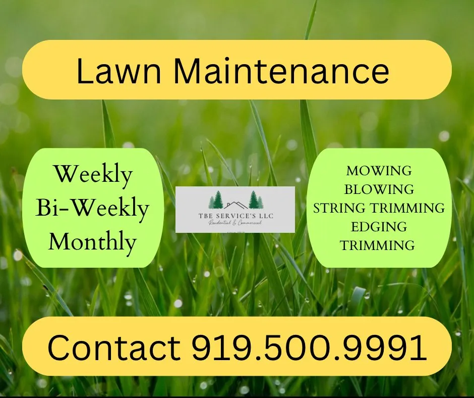 Reliable outdoor landscaping near you across Bunnlevel, NC - TBE Services