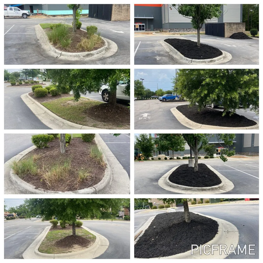 Custom lawn care service experts serving Bunnlevel, NC - TBE Services