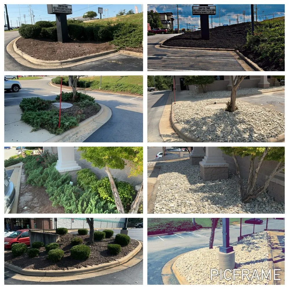 Top-rated yard maintenance for residential properties across Bunnlevel, NC - TBE Services