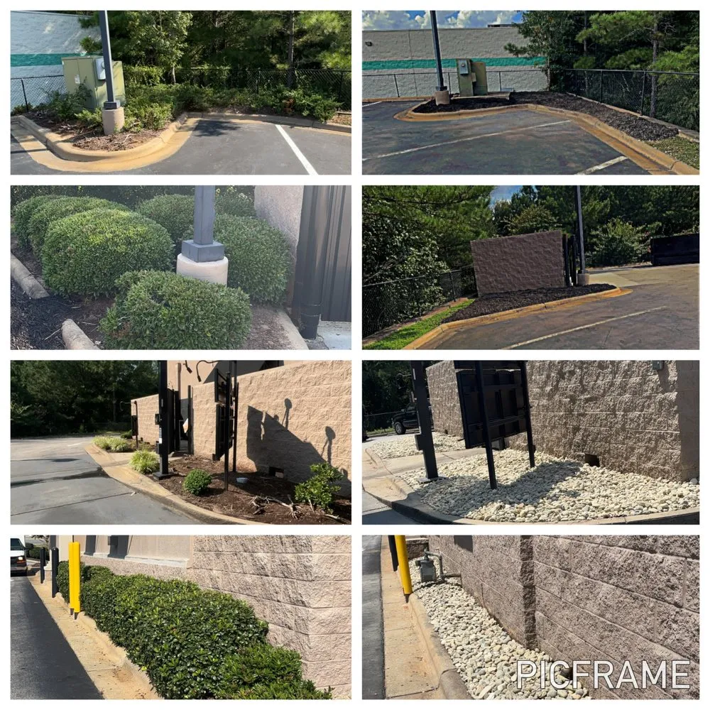 Affordable landscape installation in Bunnlevel, NC by TBE Services