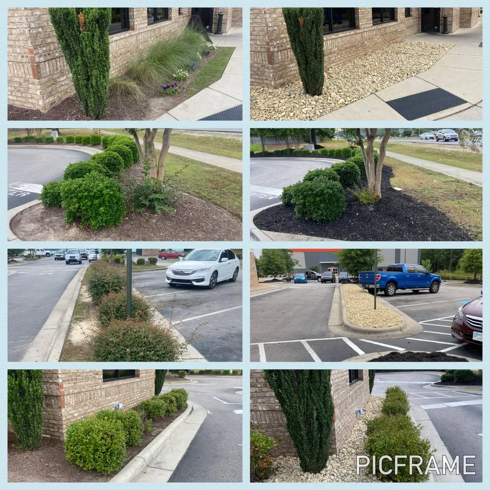 Trusted lawn mowing service experts serving Bunnlevel, NC - TBE Services