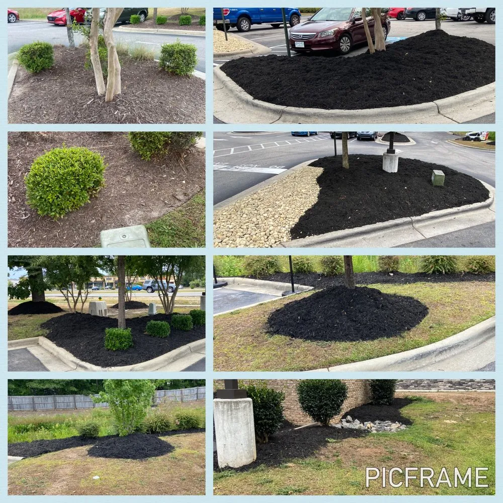 Trusted residential landscaping for residential properties in Bunnlevel, NC by TBE Services