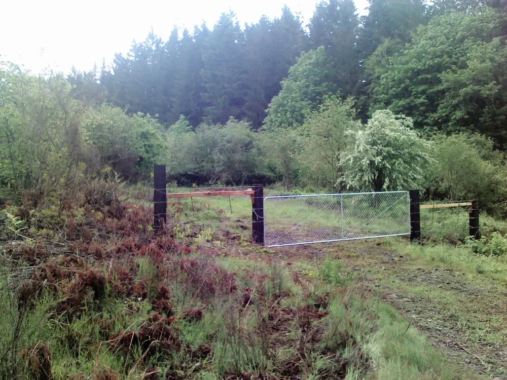 Reliable landscape installation in Oakland, OR - TBI Land Management