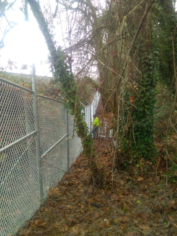 Reliable landscaping services for outdoor upgrades in Oakland, OR by TBI Land Management