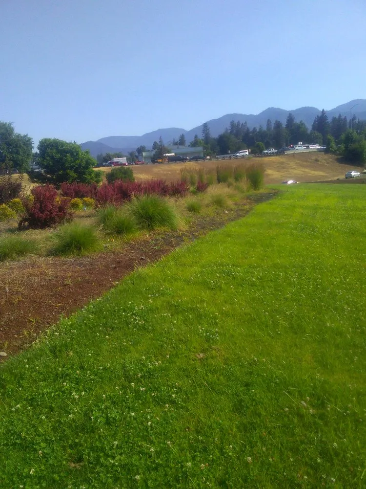Reliable yard maintenance in Oakland, OR - TBI Land Management