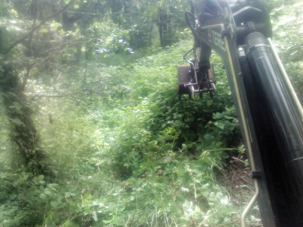 Professional outdoor landscaping experts serving Oakland, OR - TBI Land Management