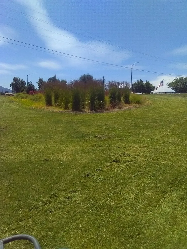 Trusted garden landscaping experts serving Oakland, OR - TBI Land Management