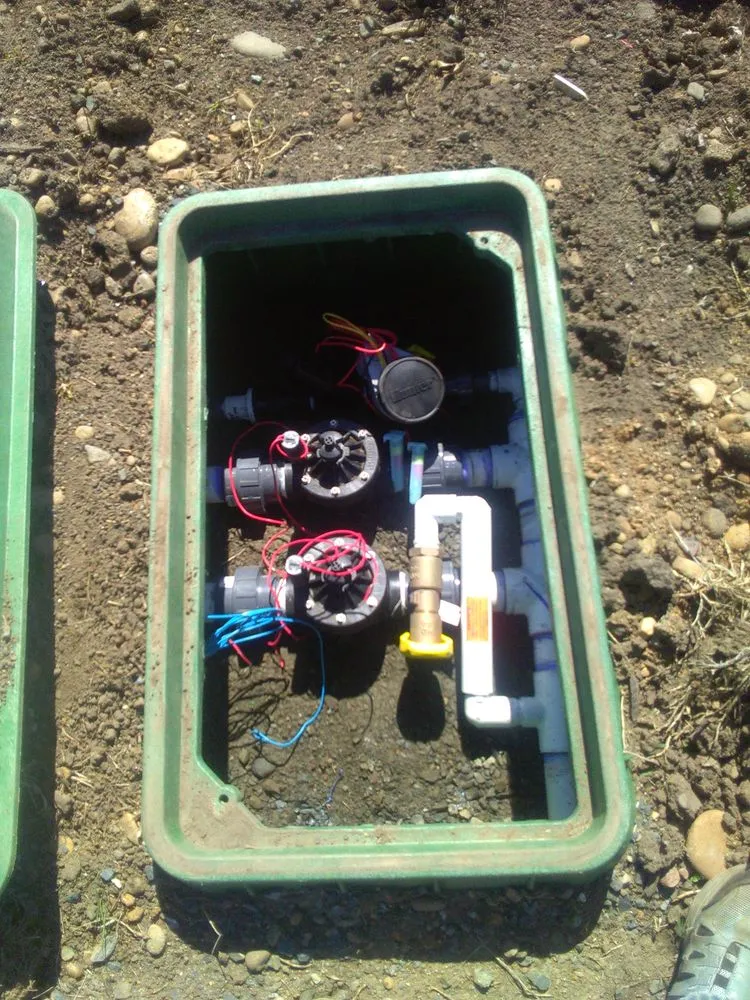 Trusted landscaping services experts serving Oakland, OR - TBI Land Management
