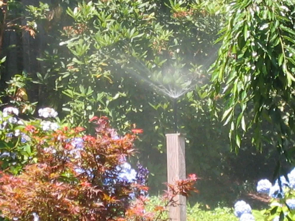 Custom yard maintenance with custom design in Oakland, OR by TBI Land Management