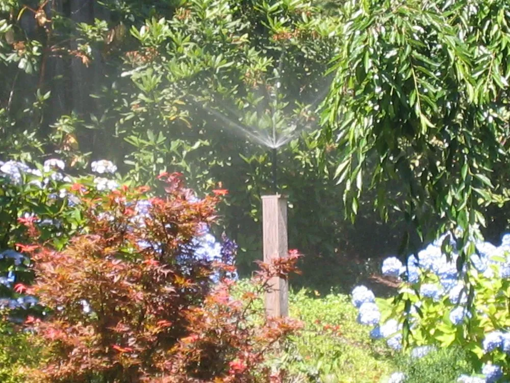 Professional landscaping services for homes across Oakland, OR - TBI Land Management