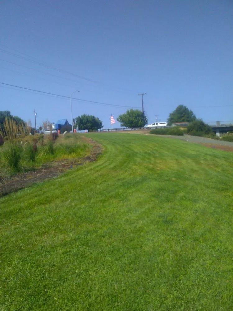 Reliable landscaping services in Oakland, OR by TBI Land Management