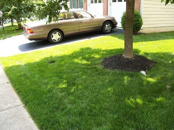 Trusted outdoor landscaping in Springfield, VA by T.B.I. Lawn Care Professionals