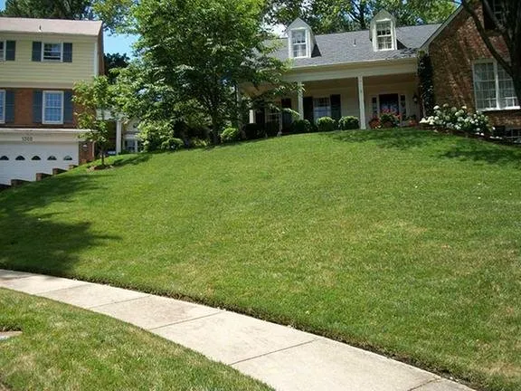 Custom lawn mowing service experts serving Springfield, VA - T.B.I. Lawn Care Professionals