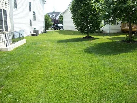 Professional lawn mowing service in Springfield, VA by T.B.I. Lawn Care Professionals