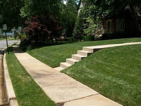 Affordable landscape design experts serving Springfield, VA - T.B.I. Lawn Care Professionals