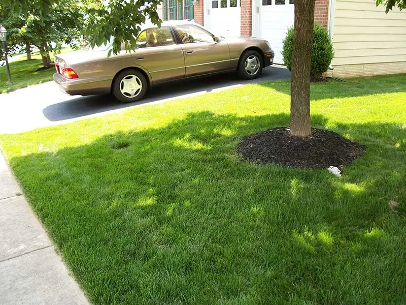 Trusted landscape design in Springfield, VA - T.B.I. Lawn Care Professionals