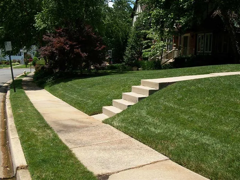 Expert landscape installation in Springfield, VA by T.B.I. Lawn Care Professionals