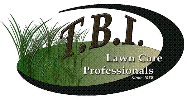 Top-rated outdoor landscaping experts serving Springfield, VA - T.B.I. Lawn Care Professionals