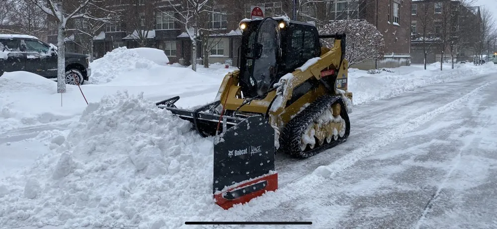 Custom yard cleanup service in Vernon Hills, IL - TBL Land Works